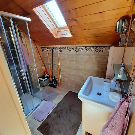 Vikendovy Dom U Vasila 度假居