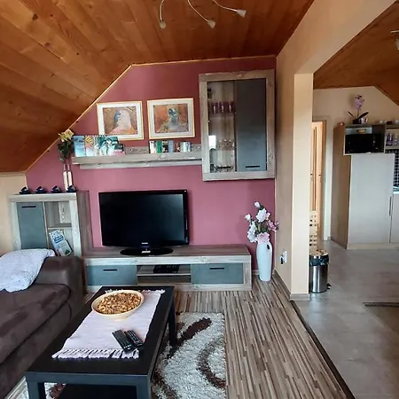 Vikendovy Dom U Vasila Holiday home *