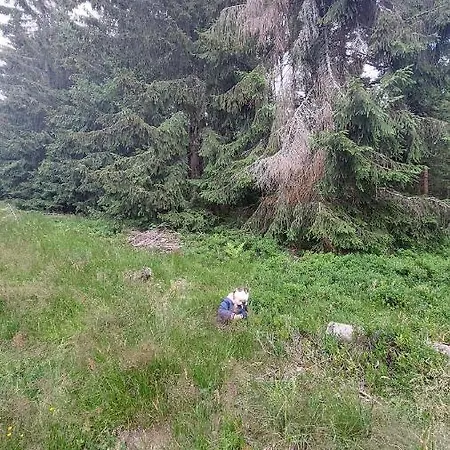 度假居 Vikendovy Dom U Vasila *