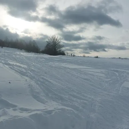 度假居 Vikendovy Dom U Vasila Krahule