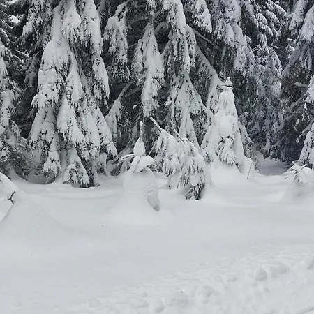 度假居 Vikendovy Dom U Vasila