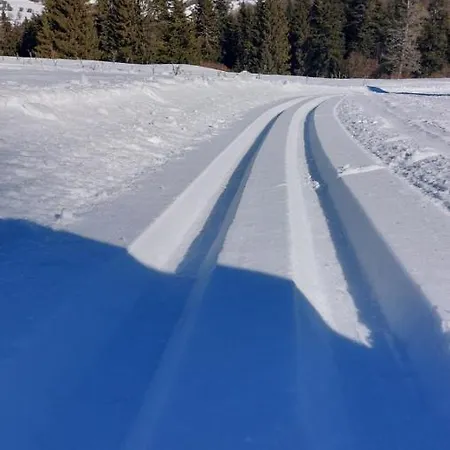 Vikendovy Dom U Vasila *