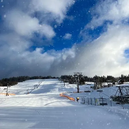 Vikendovy Dom U Vasila 度假居