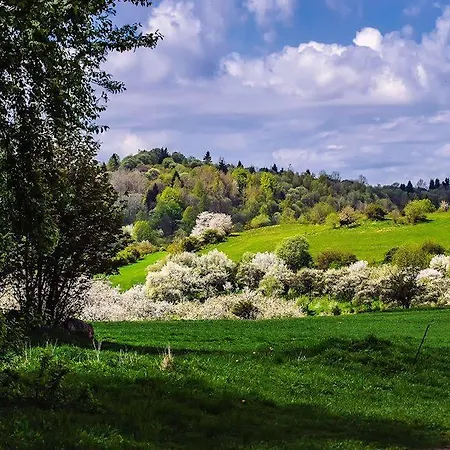 Vikendovy Dom U Vasila