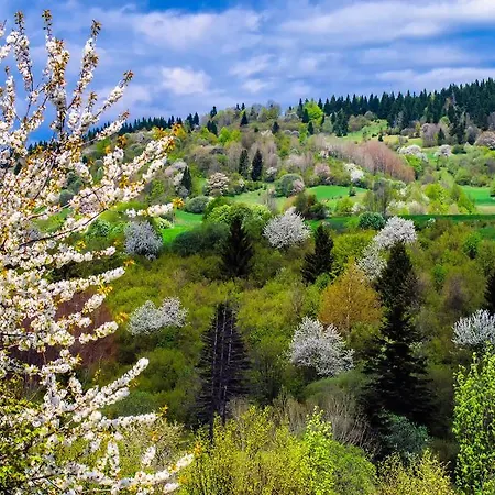 Vikendovy Dom U Vasila 度假居 *